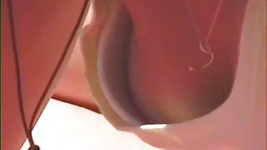 Monica orsini phim xec hihi