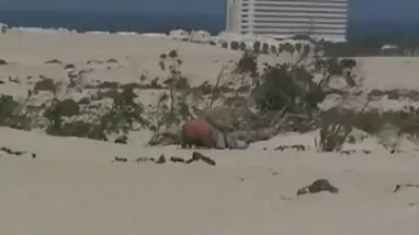 Con điếm già ann xex hihi lại một lần nữa làm tình mình